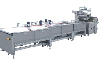 TB-500A Automatic feeding packing machine