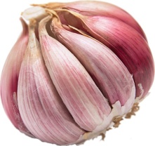 Garlic - Gar