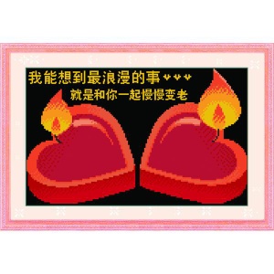 candle dinner embroidery kits