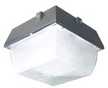 30Watt Canopy Light With Bridgelux Chips (Big Angle)