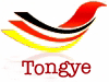 Hangzhou Tongye knitting Co.,Ltd