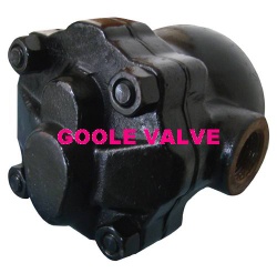 FT14 ball float steam trap