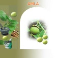 Amla Juice 500 ml