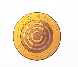 Xi'an Vengo Industrial Development Co., Ltd