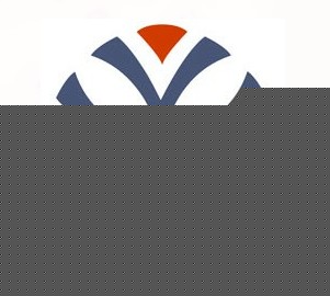 Shenzhen Vicam Mechatronics Co. Ltd.