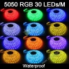 3528&5050 60pcs leds/m waterproof Color Flexible LED Strip Light