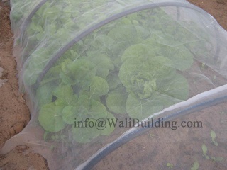 Plastic Agriculture Shading/Scaffolding Netting