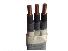 Electrical Submersible Pump Cable