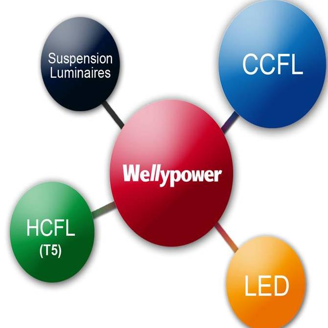 Wellypower Optronics Corp.