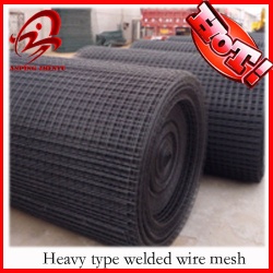 Heavy gauge pvc coated welded wire mesh(factory,high quality)