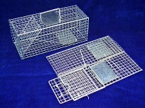 live animal trap cage