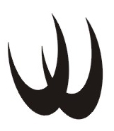 Wisdom Science & Technology (HK) Co.,Ltd