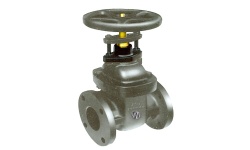 cast iron gate valve (NRS)