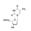 2-deoxythymidine