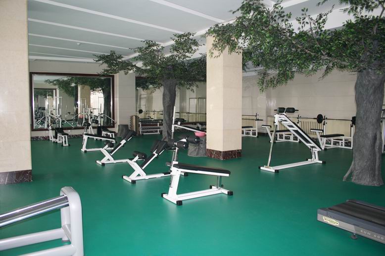 gym/fitness floor
