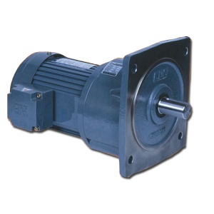 CPG GEAR MOTOR