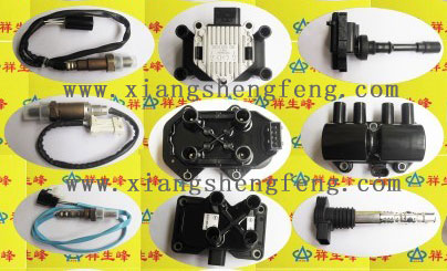 XiangShengFeng Auto Electrical Factory