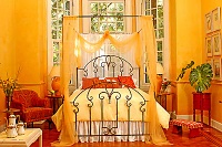 Home Decorative Canopy Metal Bed