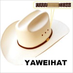 Western Straw Shantung cowboy hat