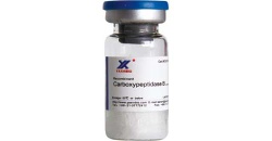 Recombinant Carboxyp
