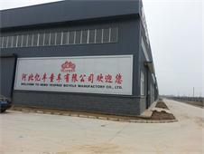 Hebei Yesfree Bicycle Manufactory Co.,Ltd.