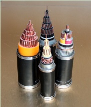 3.6/6KV PVC Insulated Power Cable