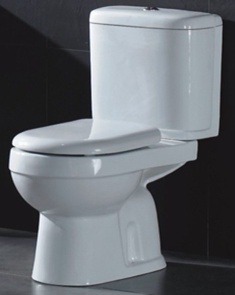 Washdown Two-piece Toilet-9708S - toilet
