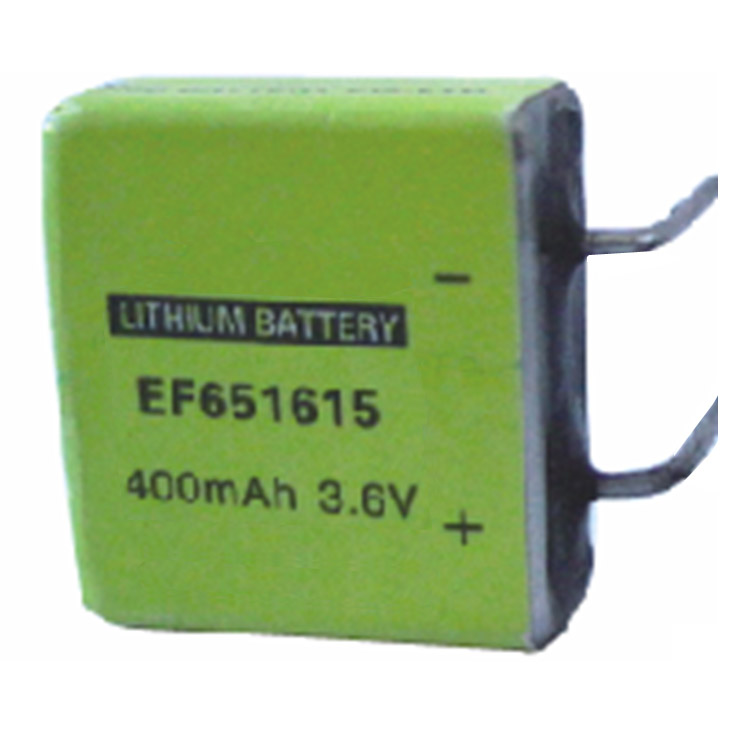 EF651615 primary battery