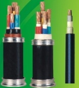 PVC insulated power cable of rated voltage 0.6/1kV