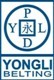 shanghai yongli beting company