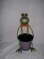frog w/pot
