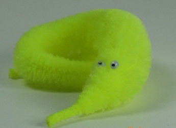 magic worm,twisty worm toy