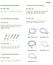 Stainless Steel Chrome Plating Shower Hose