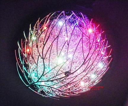 RGB LED Ceiling Lamps with Remote Control