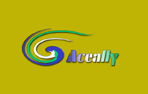 Aceally (Xiamen) Technology Co., Ltd