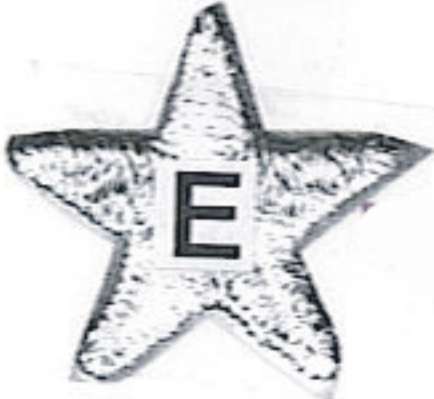 Epaulet, badge
