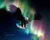 Eagle Aurora