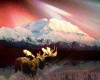 Denali Aurora