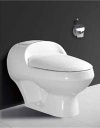 Toilet/Pedestal basin/Bidet