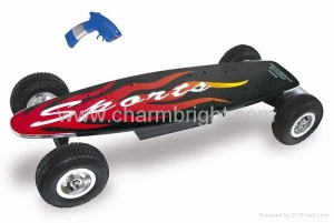 Electric Skateboard