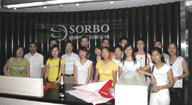 Zhejiang Shengbo Electronic Co., Ltd.