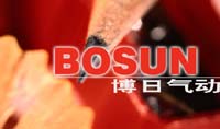 Yueqing Bosun Pneumatic Equipment Co.,Ltd.