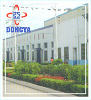 Jiangsu Danyang Dongya Electronic co.,ltd