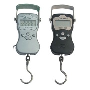 Fishing scales