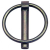 lynch pin