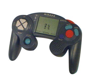 Eectronic Handheld game