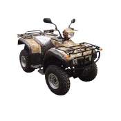 250CC ATV WITH EEC YAMAHA ENGINE