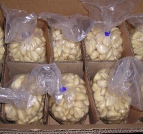 garlic & garlic clove