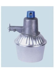 Mercury street light