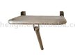Shower Seat